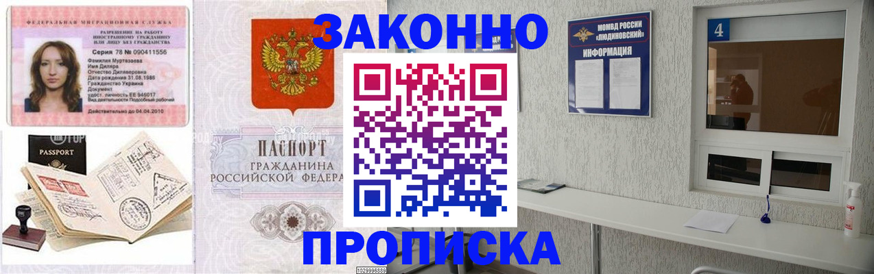 прописка в квартире в Дубне